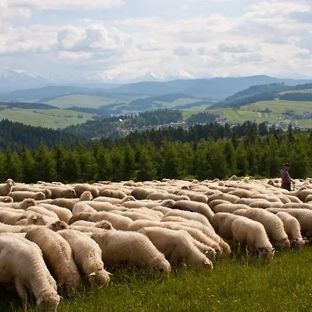 Kwatera prywatna U Basi *